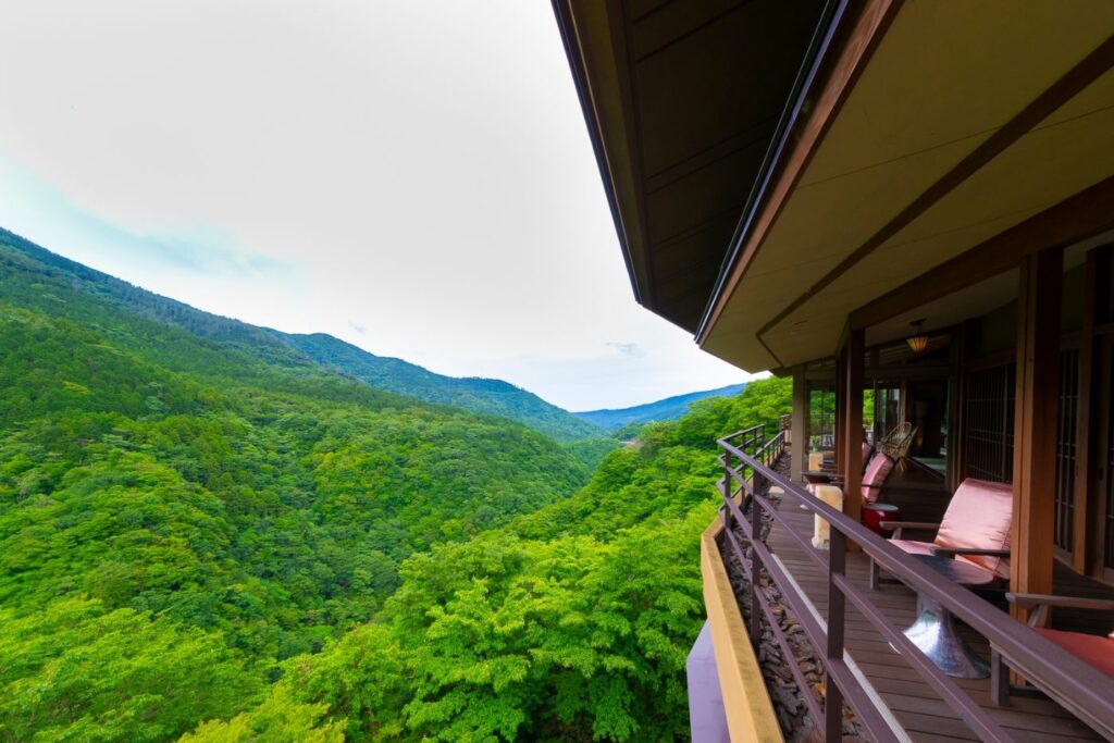 箱根吟遊から望む新緑の箱根の山並み