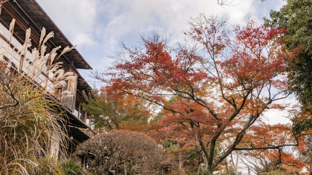 強羅環翠楼の庭園の紅葉